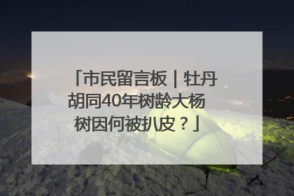 市民留言板｜牡丹胡同40年树龄大杨树因何被扒皮？