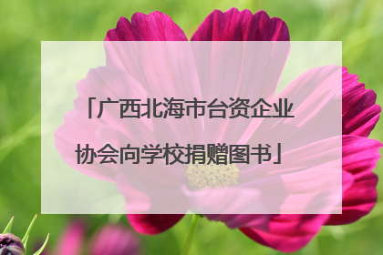 广西北海市台资企业协会向学校捐赠图书