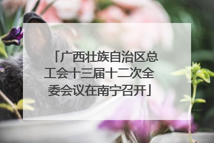 广西壮族自治区总工会十三届十二次全委会议在南宁召开