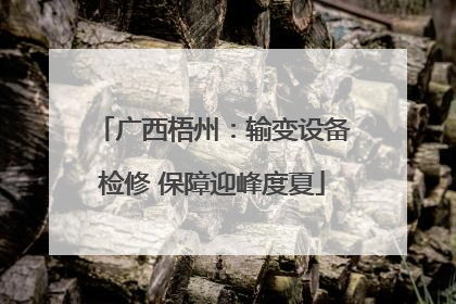 广西梧州：输变设备检修 保障迎峰度夏