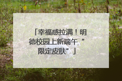 幸福感拉满！明德校园上新端午“限定皮肤”