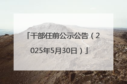 干部任前公示公告（2025年5月30日）
