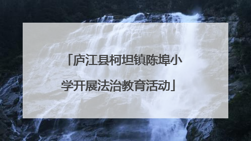 庐江县柯坦镇陈埠小学开展法治教育活动