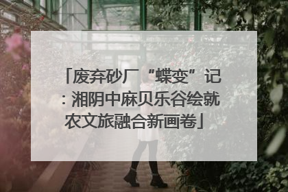 废弃砂厂“蝶变”记：湘阴中麻贝乐谷绘就农文旅融合新画卷