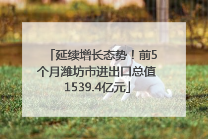 延续增长态势！前5个月潍坊市进出口总值1539.4亿元