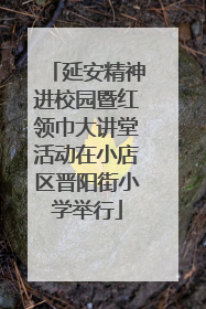 延安精神进校园暨红领巾大讲堂活动在小店区晋阳街小学举行