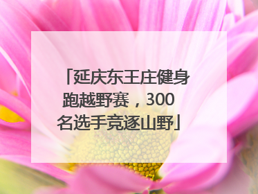 延庆东王庄健身跑越野赛，300名选手竞逐山野