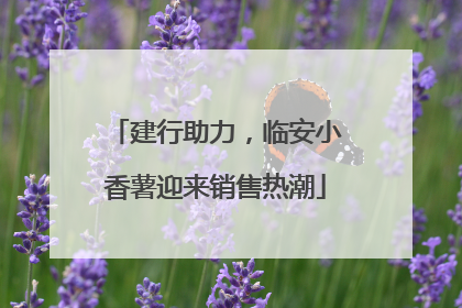 建行助力，临安小香薯迎来销售热潮