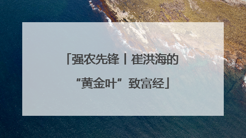 强农先锋丨崔洪海的“黄金叶”致富经