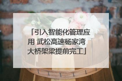 引入智能化管理应用 武松高速杨家湾大桥架梁提前完工