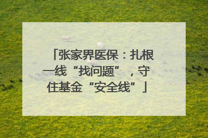 张家界医保：扎根一线“找问题”，守住基金“安全线”