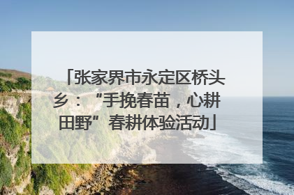张家界市永定区桥头乡：“手挽春苗，心耕田野”春耕体验活动