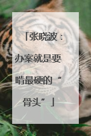张晓波：办案就是要啃最硬的“骨头”