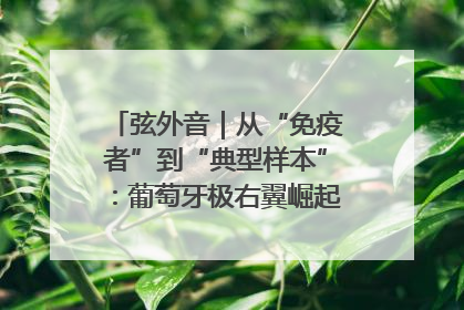 弦外音｜从“免疫者”到“典型样本”：葡萄牙极右翼崛起背后的欧洲困局