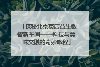 探秘北京窦店益生数智新车间——科技与美味交融的奇妙旅程