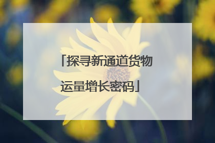 探寻新通道货物运量增长密码