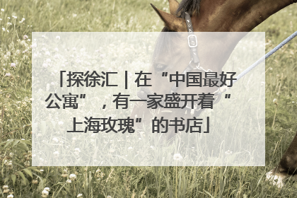 探徐汇｜在“中国最好公寓”，有一家盛开着“上海玫瑰”的书店