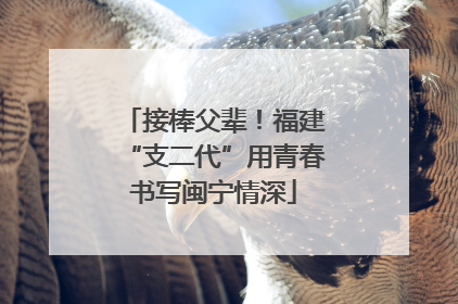 接棒父辈！福建“支二代”用青春书写闽宁情深