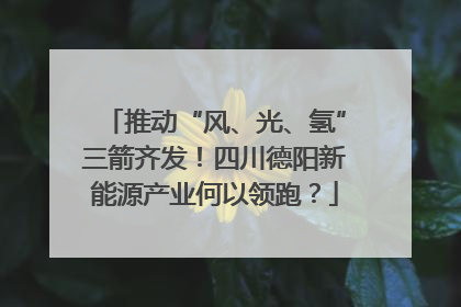 推动“风、光、氢”三箭齐发！四川德阳新能源产业何以领跑？