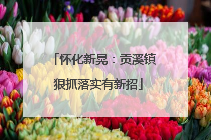 怀化新晃：贡溪镇狠抓落实有新招