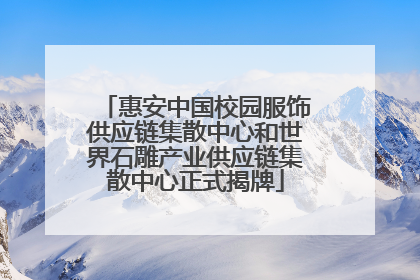 惠安中国校园服饰供应链集散中心和世界石雕产业供应链集散中心正式揭牌