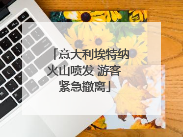意大利埃特纳火山喷发 游客紧急撤离