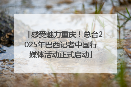 感受魅力重庆！总台2025年巴西记者中国行媒体活动正式启动