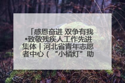 感恩奋进 双争有我•致敬残疾人工作先进集体丨河北省青年志愿者中心（“小橘灯”助残接力计划实施团队）：用温暖陪伴，守护特殊孩子成长