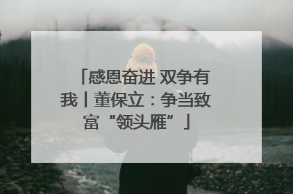 感恩奋进 双争有我丨董保立：争当致富“领头雁”