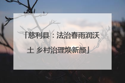 慈利县：法治春雨润沃土 乡村治理焕新颜