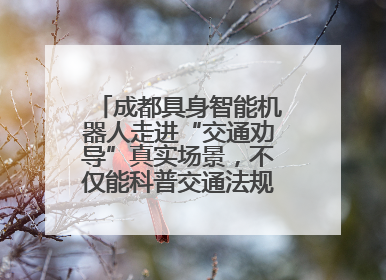 成都具身智能机器人走进“交通劝导”真实场景，不仅能科普交通法规还会讲冷笑话