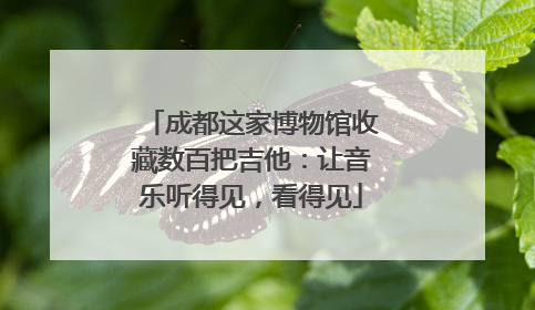 成都这家博物馆收藏数百把吉他：让音乐听得见，看得见