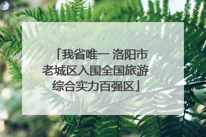 我省唯一 洛阳市老城区入围全国旅游综合实力百强区