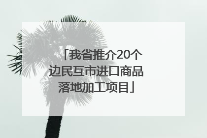 我省推介20个边民互市进口商品落地加工项目