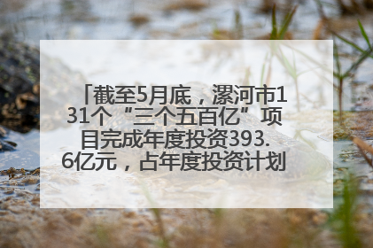 截至5月底，漯河市131个“三个五百亿”项目完成年度投资393.6亿元，占年度投资计划的50.41%——“三个五百亿”项目带动产业提质升级
