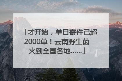 才开始，单日寄件已超2000单！云南野生菌火到全国各地……