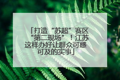打造“苏超”赛区“第二现场”！江苏这样办好让群众可感可及的实事