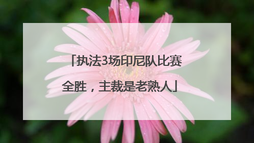 执法3场印尼队比赛全胜，主裁是老熟人