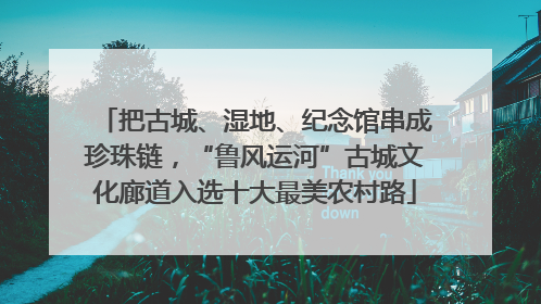 把古城、湿地、纪念馆串成珍珠链，“鲁风运河”古城文化廊道入选十大最美农村路