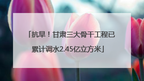 抗旱！甘肃三大骨干工程已累计调水2.45亿立方米