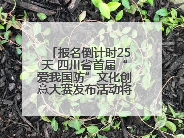 报名倒计时25天 四川省首届“爱我国防”文化创意大赛发布活动将于9月落地宜宾
