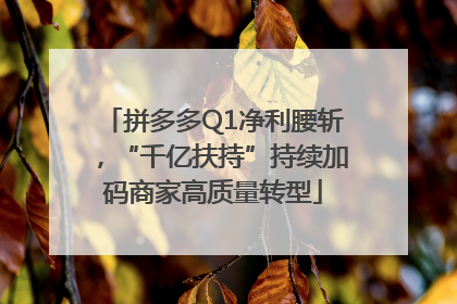 拼多多Q1净利腰斩，“千亿扶持”持续加码商家高质量转型