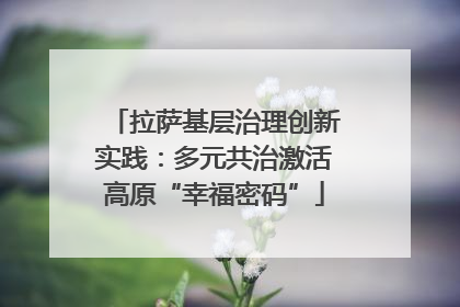 拉萨基层治理创新实践：多元共治激活高原“幸福密码”