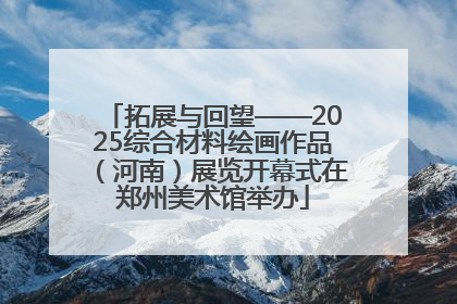 拓展与回望——2025综合材料绘画作品（河南）展览开幕式在郑州美术馆举办
