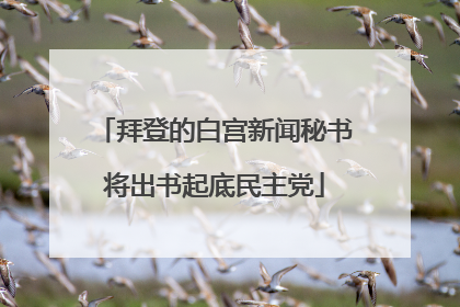 拜登的白宫新闻秘书将出书起底民主党