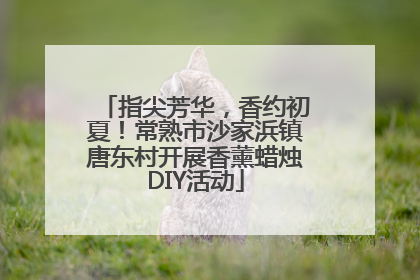 指尖芳华，香约初夏！常熟市沙家浜镇唐东村开展香薰蜡烛DIY活动