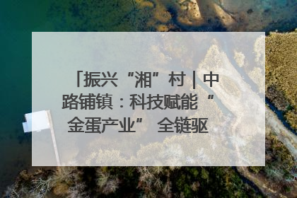 振兴“湘”村｜中路铺镇：科技赋能“金蛋产业” 全链驱动乡村振兴