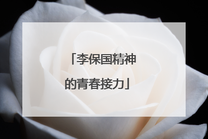 李保国精神的青春接力