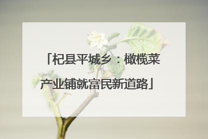 杞县平城乡：橄榄菜产业铺就富民新道路