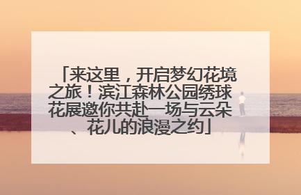 来这里，开启梦幻花境之旅！滨江森林公园绣球花展邀你共赴一场与云朵、花儿的浪漫之约